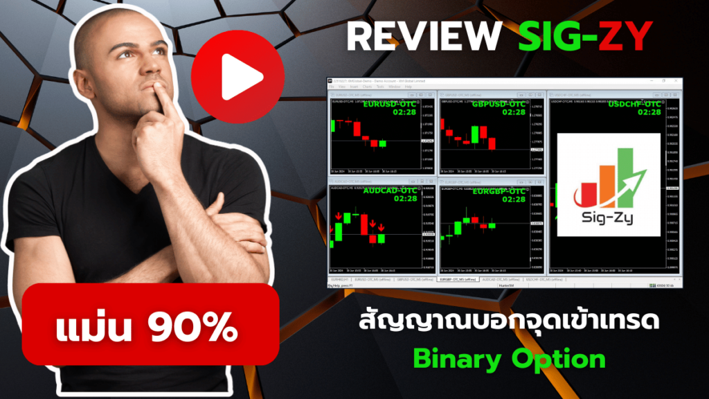 sigzy review