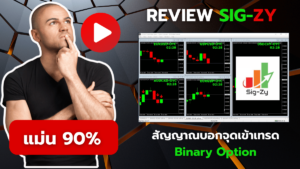 sigzy review