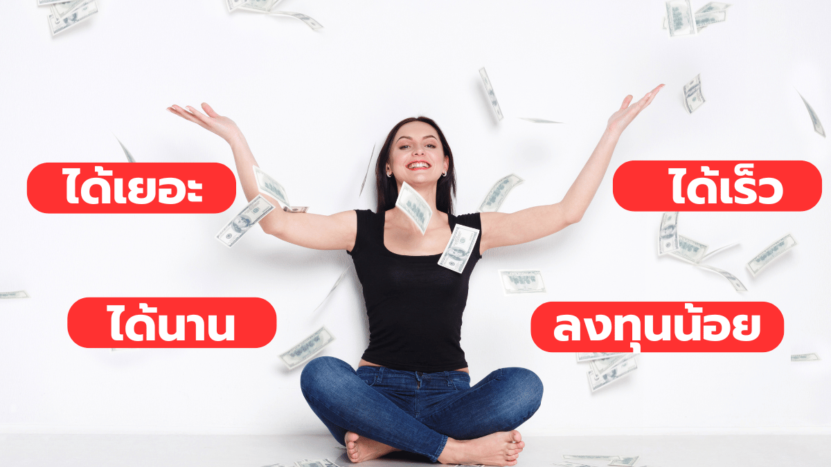 sigzy affiliate2