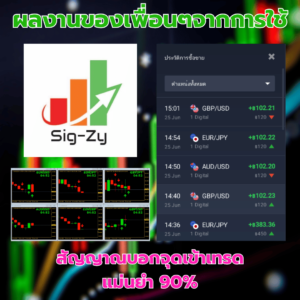 sigzyreview1