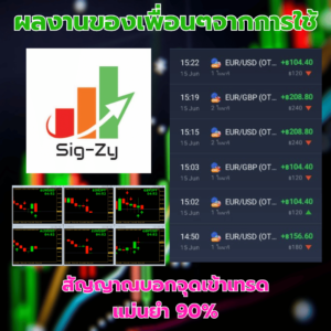 sigzyreview2