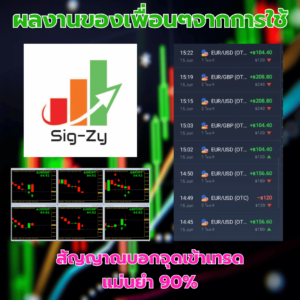 sigzyreview3