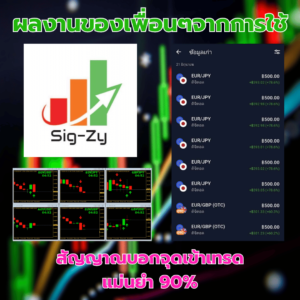 sigzyreview5