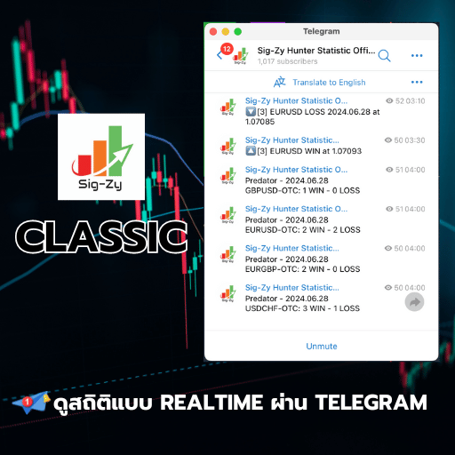 sigzy classic สถิติ