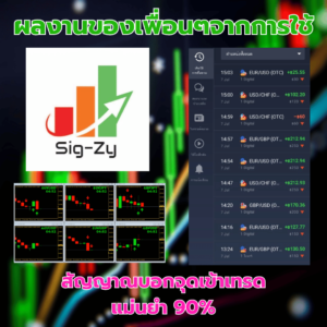 reviewsigzy6